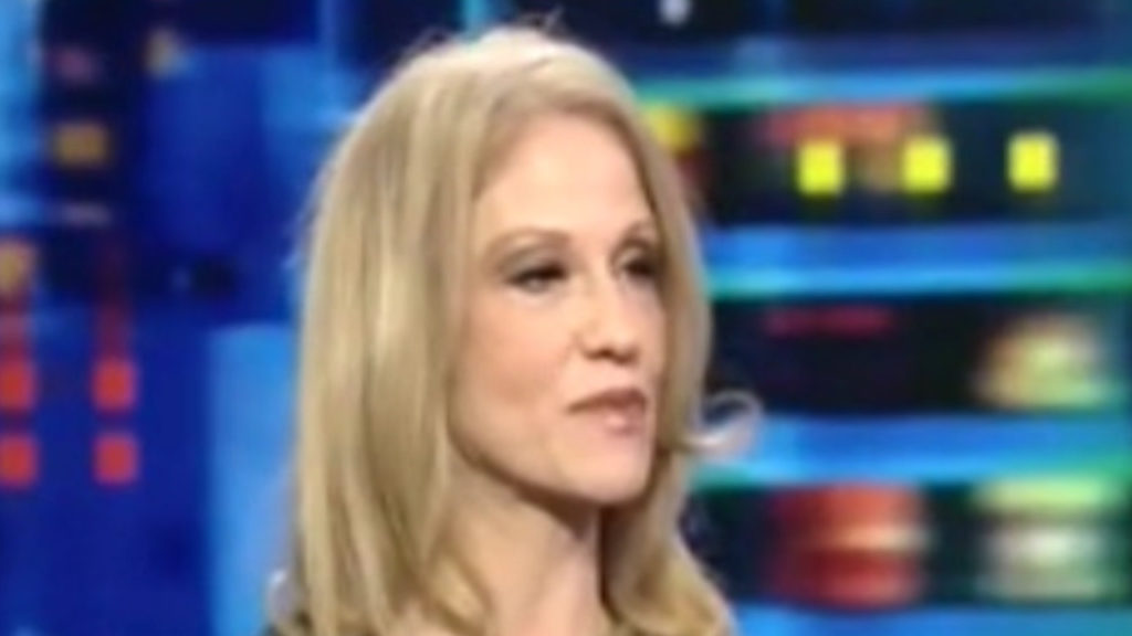 Trump's new campaign manager, Kellyanne Conway destroyed him while a TV pundit (VIDEO)