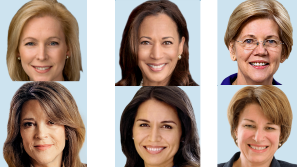 Democratic Women Candidates