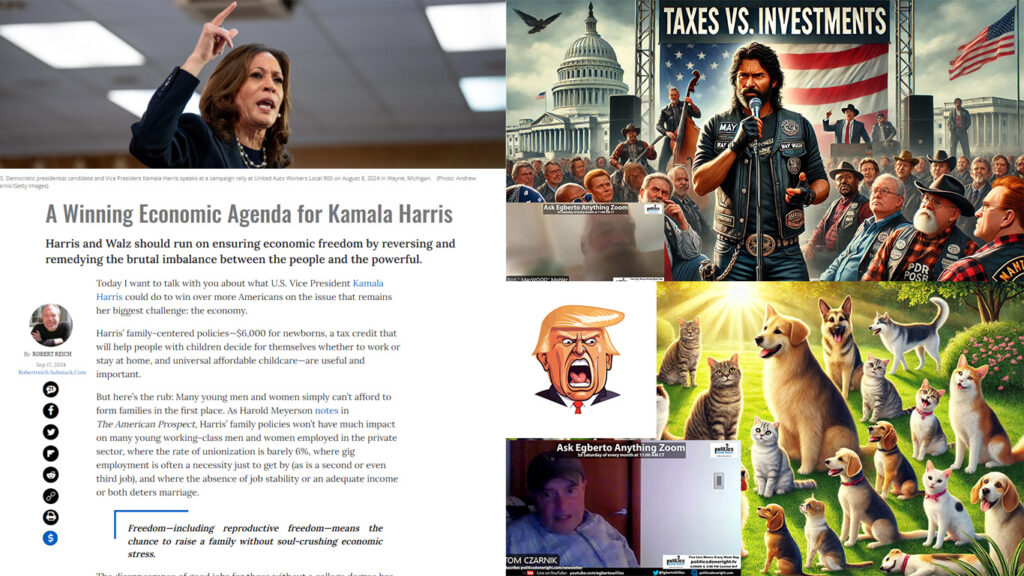 A Winning Economic Agenda for Kamala Harris. Taxes vs. Investments. A dog & cat limerick.