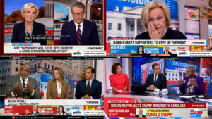 Democrats and demographic truths. Joy-Ann Reid, others exposed uncomfortable truth. McCaskill cries.